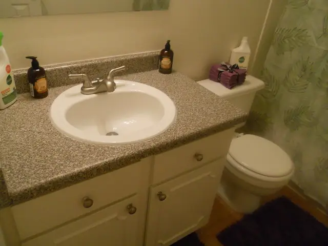 Toilet Repair & Installation in Florida — licensed local pros