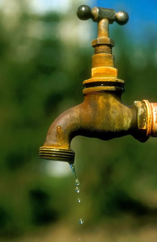 Leak Detection & Repair in Florida — licensed local pros