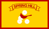 Flag of Spring Hill, Florida